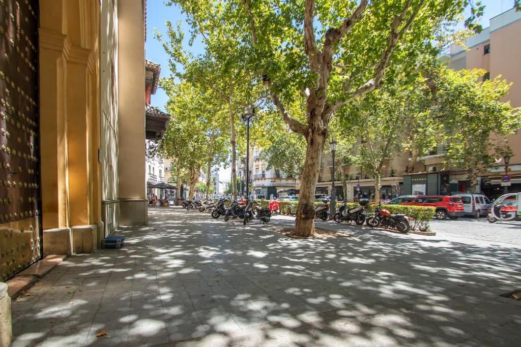 Apartment Muy Centrico, Tranquilo Y Confortable **a/c-wifi** Sevilla